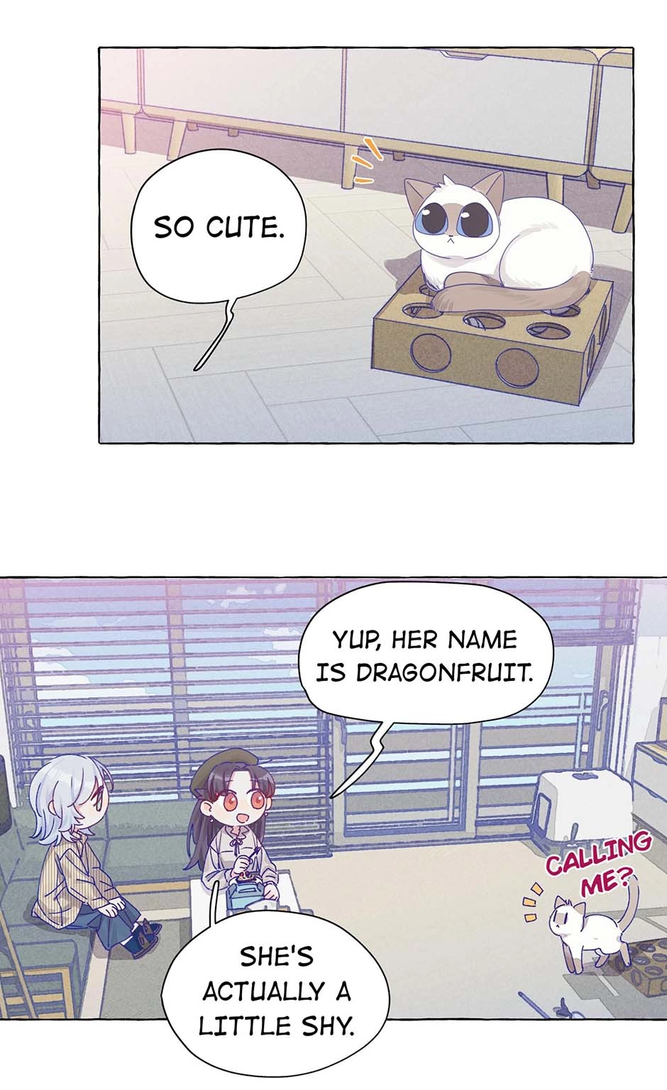 Straight Girl Trap Chapter 11 page 19 - 
