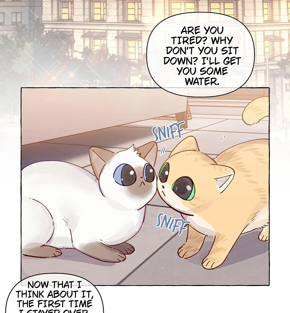 Straight Girl Trap Chapter 122 page 23 - 