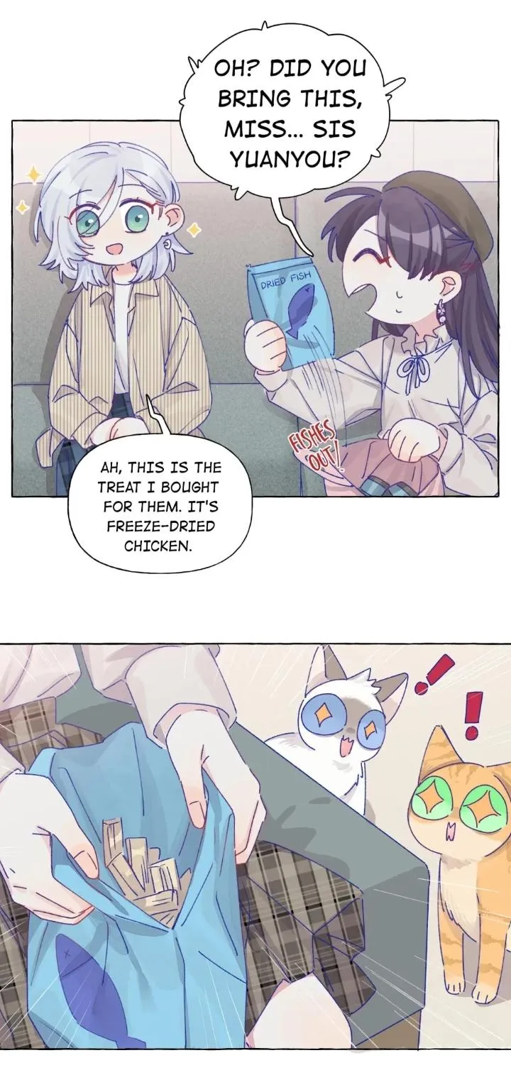 Straight Girl Trap Chapter 13 page 3 - 
