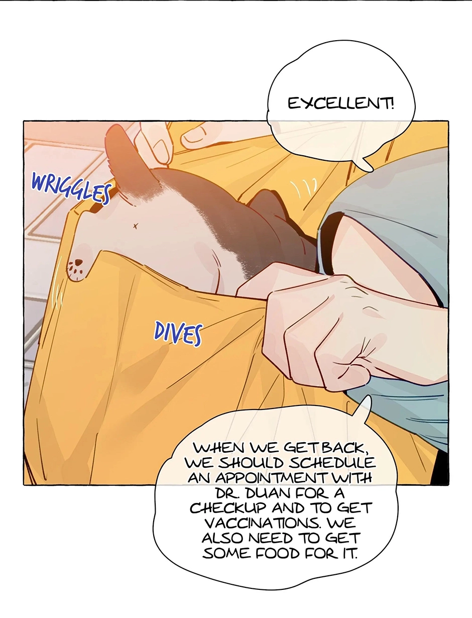 Straight Girl Trap Chapter 132 page 34 - 