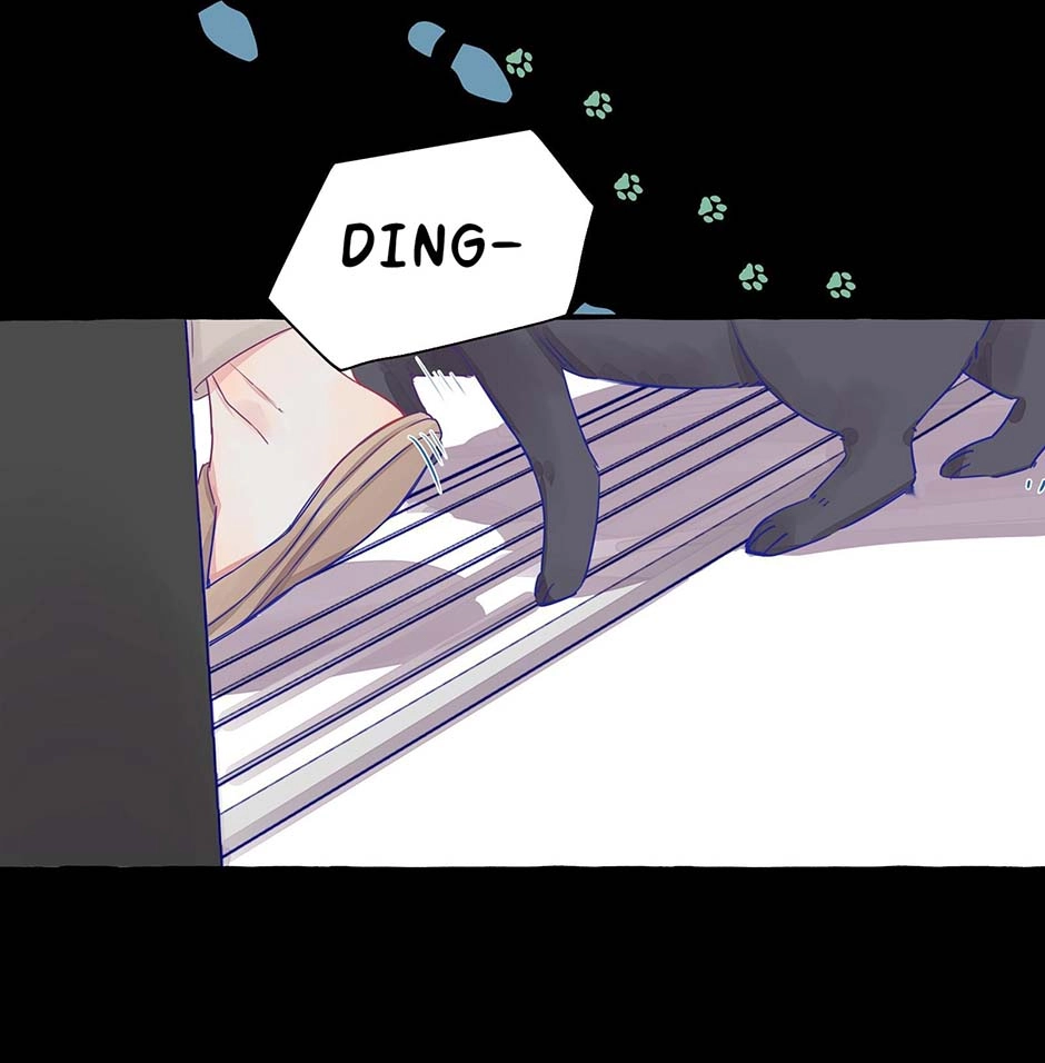 Straight Girl Trap Chapter 2 page 22 - 