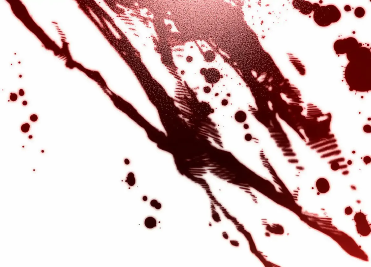 Stranger in Paradise Chapter 6 page 116 - 