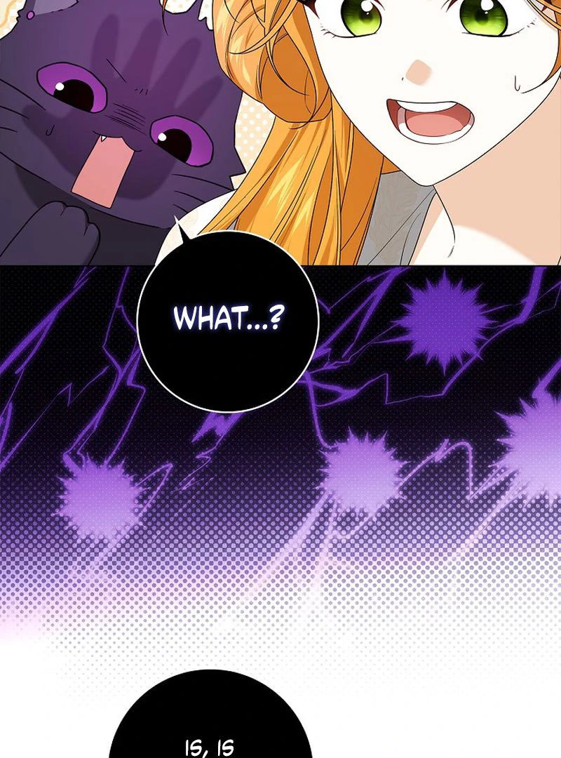 Sub Male Lead, Come to My Bed Chapter 31 page 56 - 