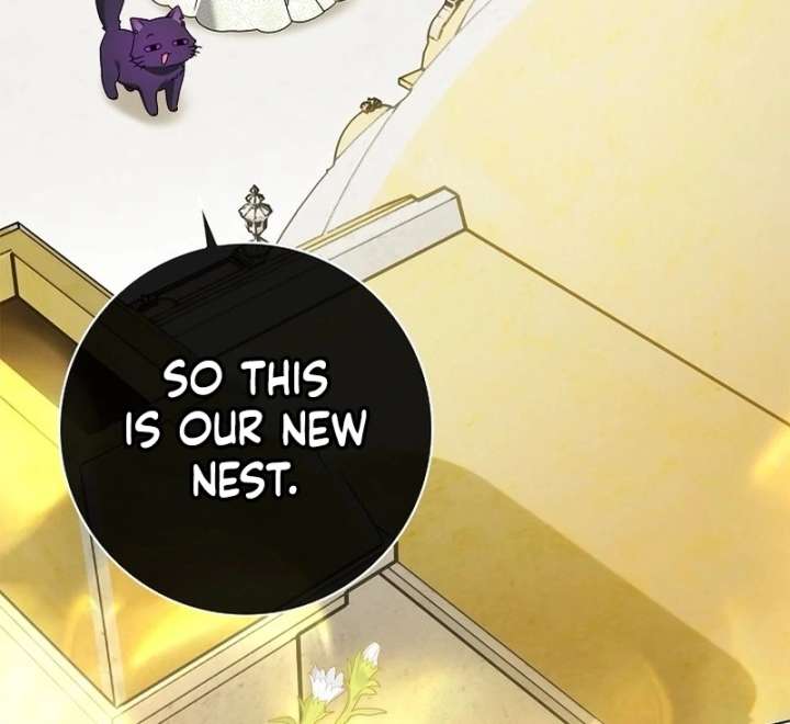 Sub Male Lead, Come to My Bed Chapter 36 page 96 - 