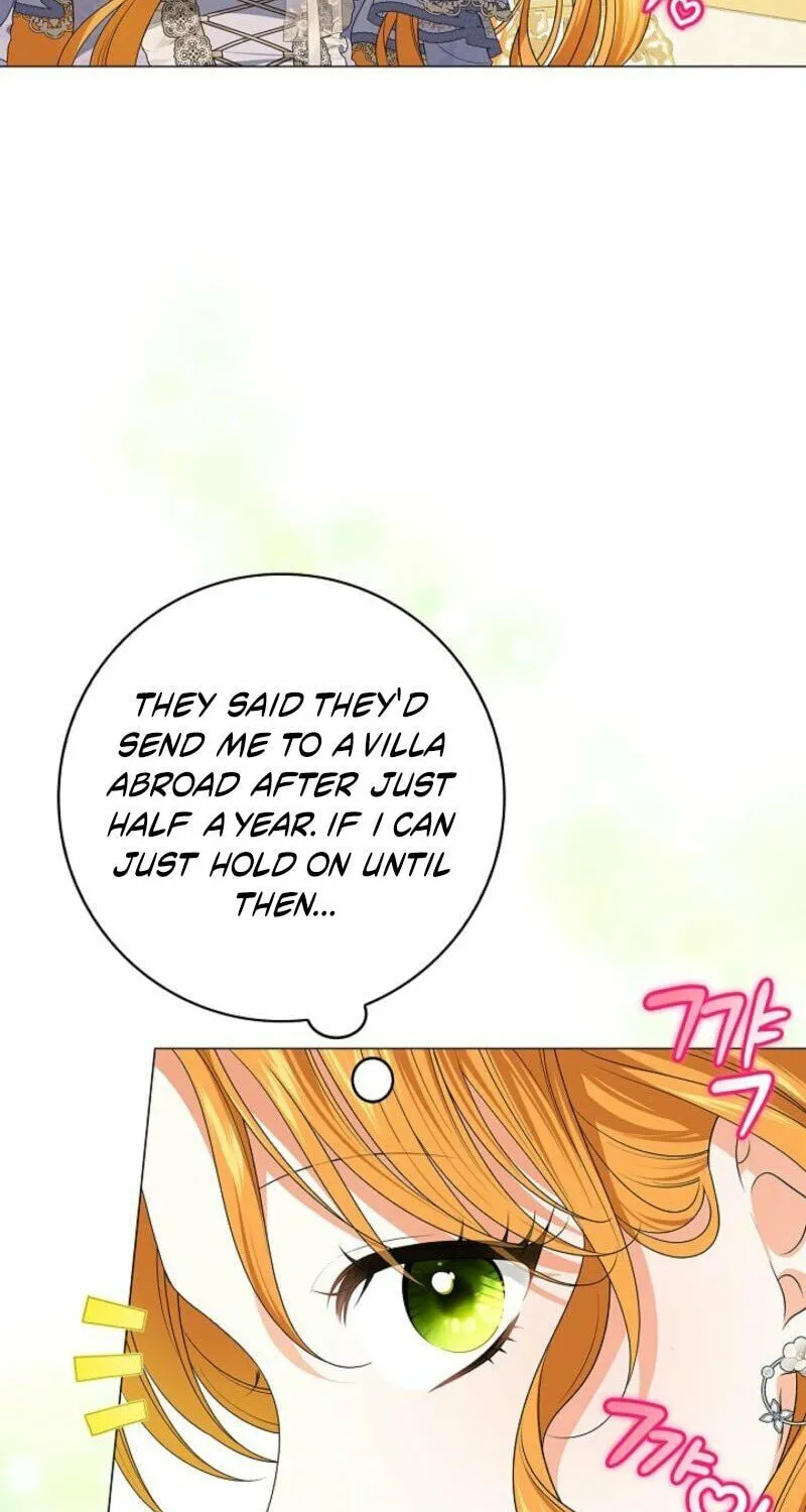 Sub Male Leads, Come to My Bed Right Now Chapter 1 page 42 - 