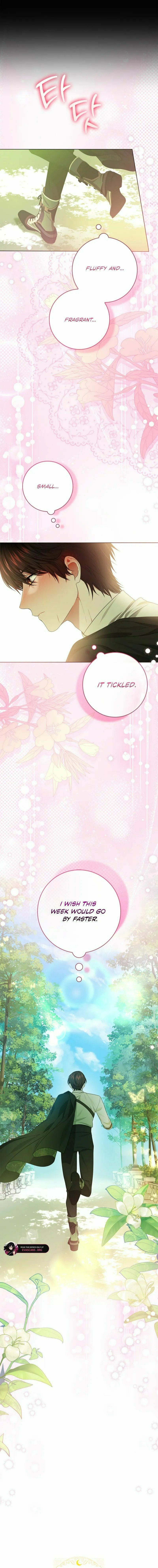 Sub Male Leads, Come to My Bed Right Now Chapter 16 page 19 - 