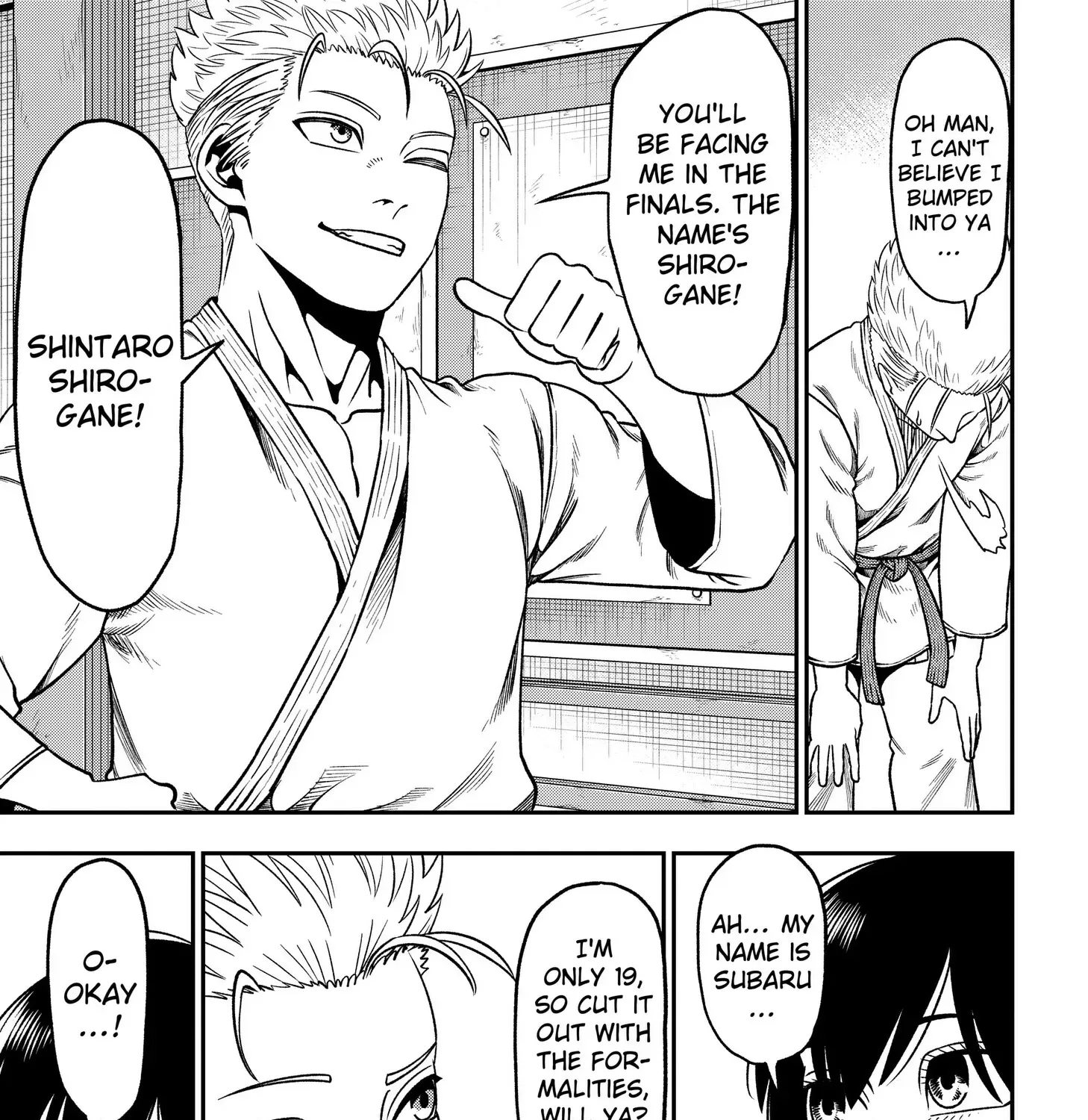 Subaru the Invincible Chapter 3 page 45 - 