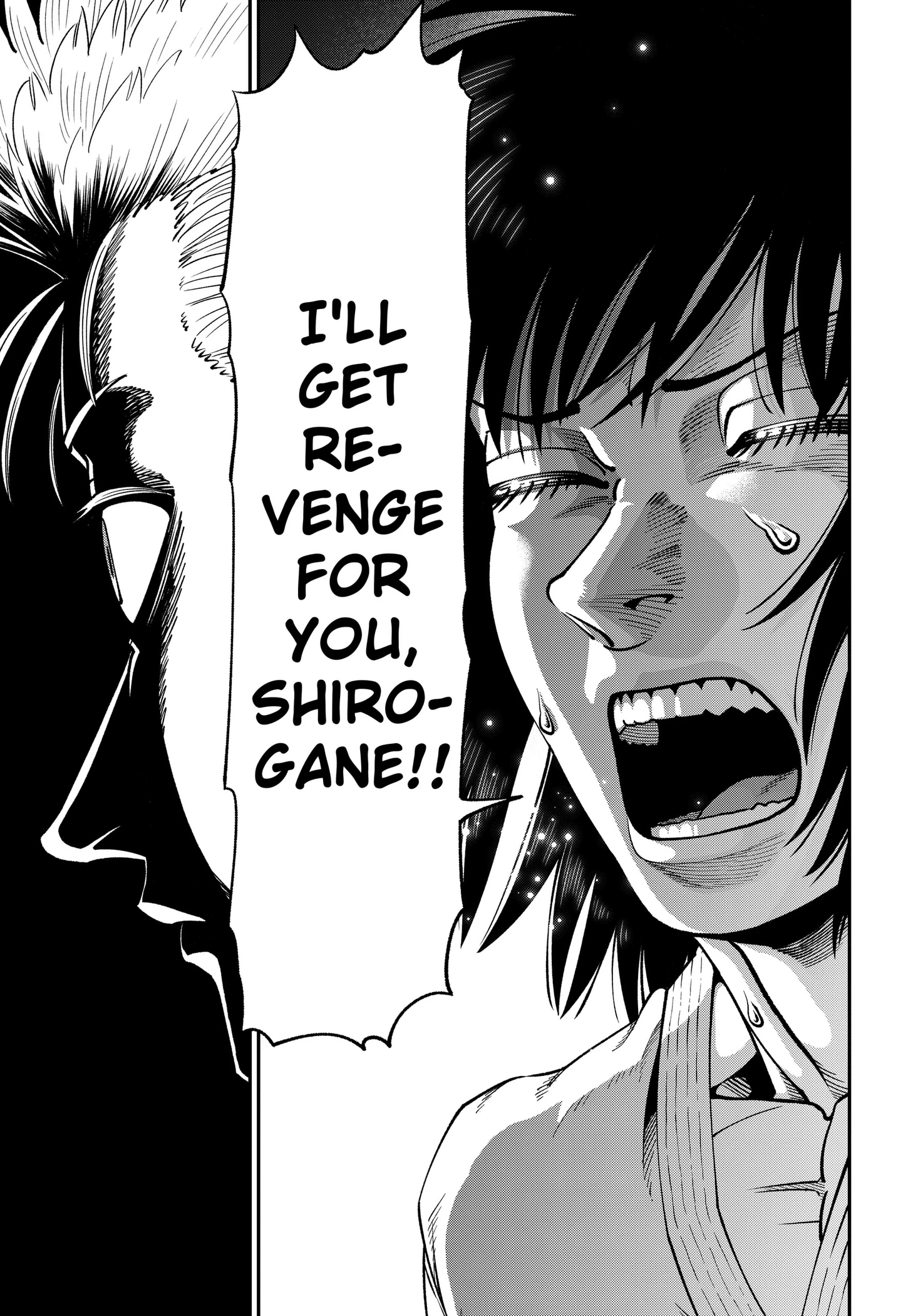 Subaru the Invincible Chapter 8 page 15 - 