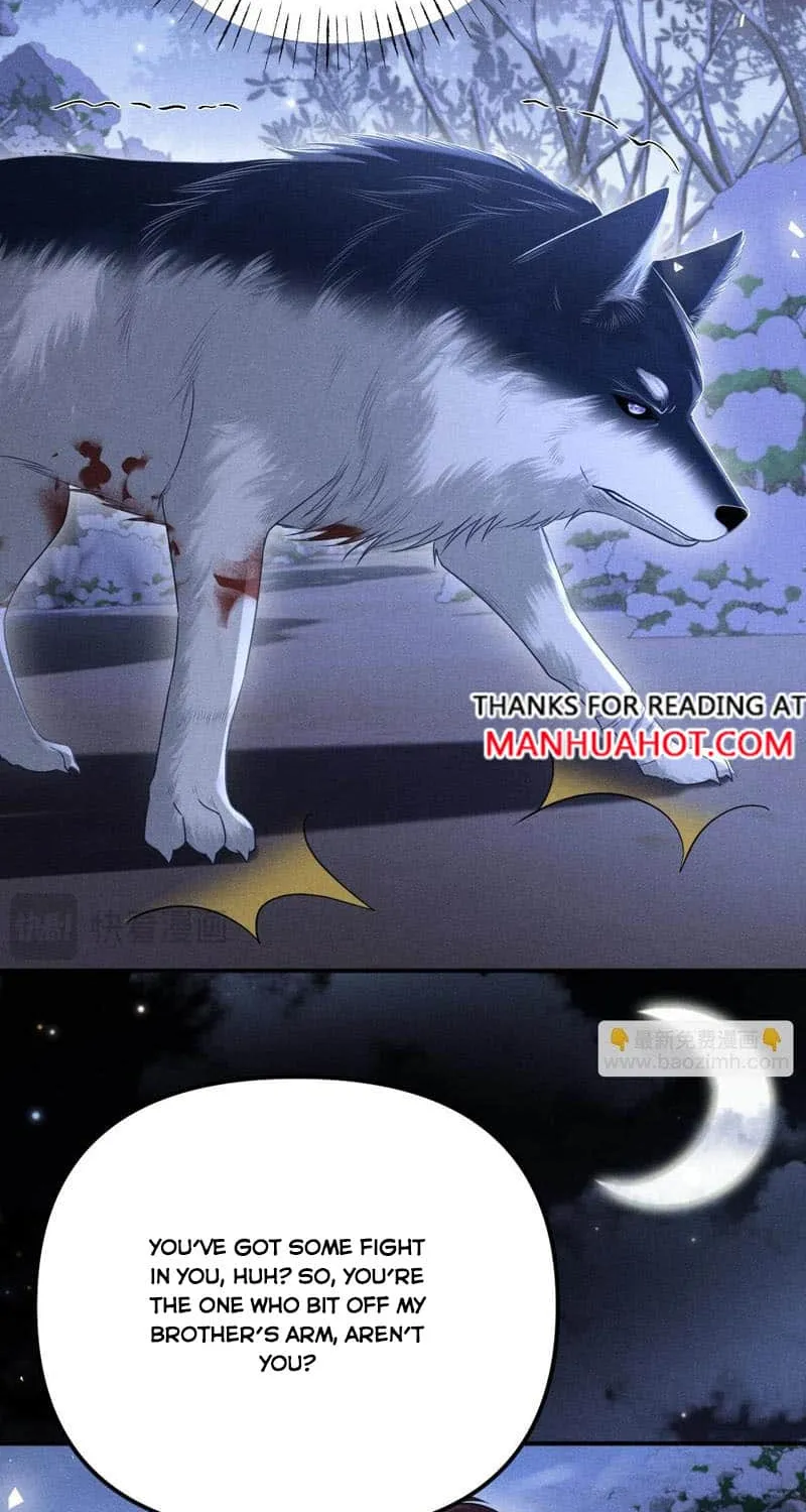 Subordinate Doting Chapter 19 page 41 - 