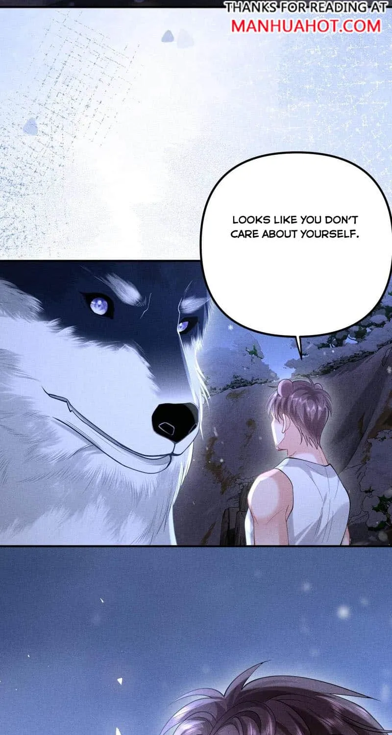 Subordinate Doting Chapter 19 page 45 - 