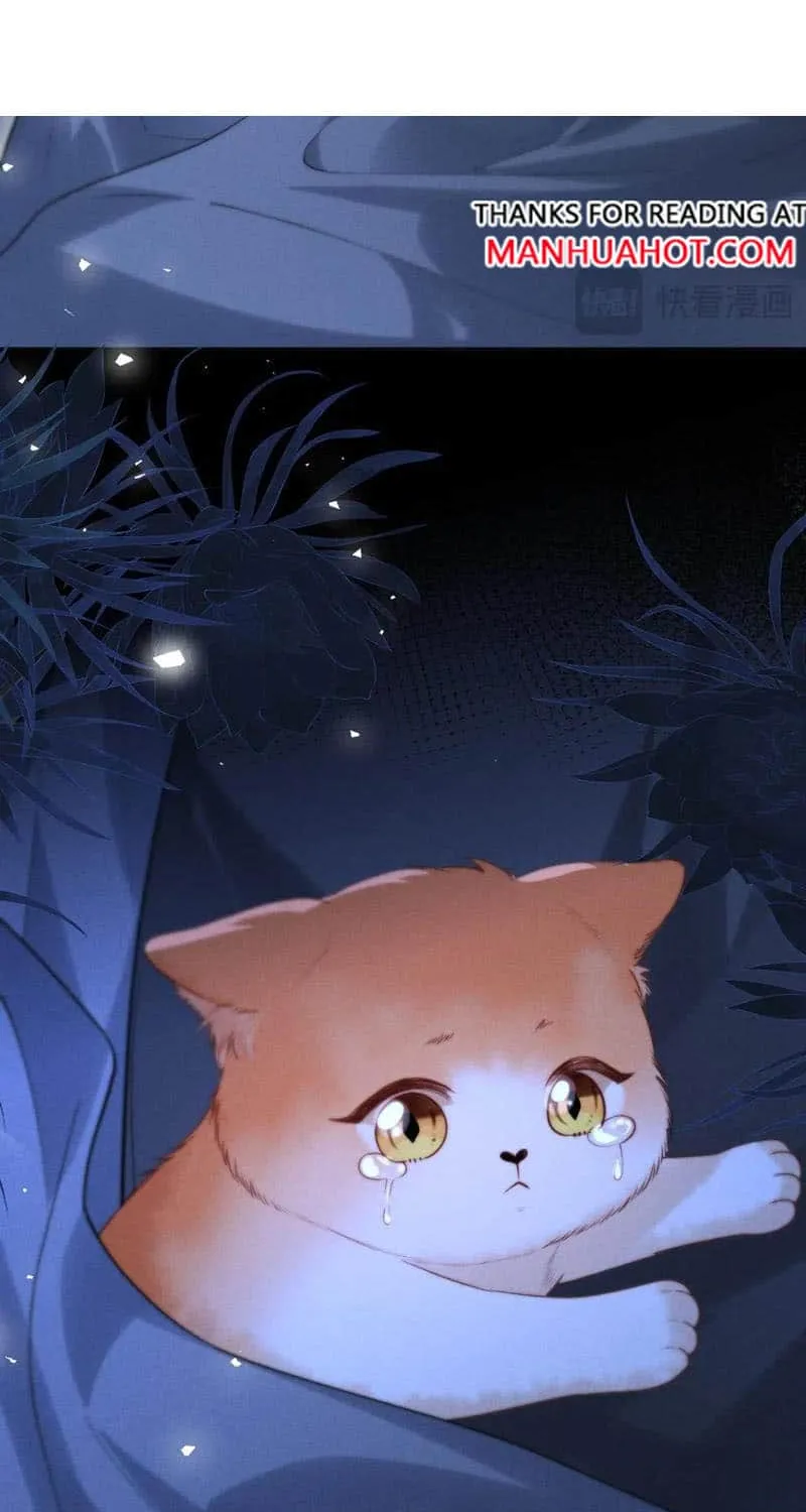 Subordinate Doting Chapter 24 page 22 - 