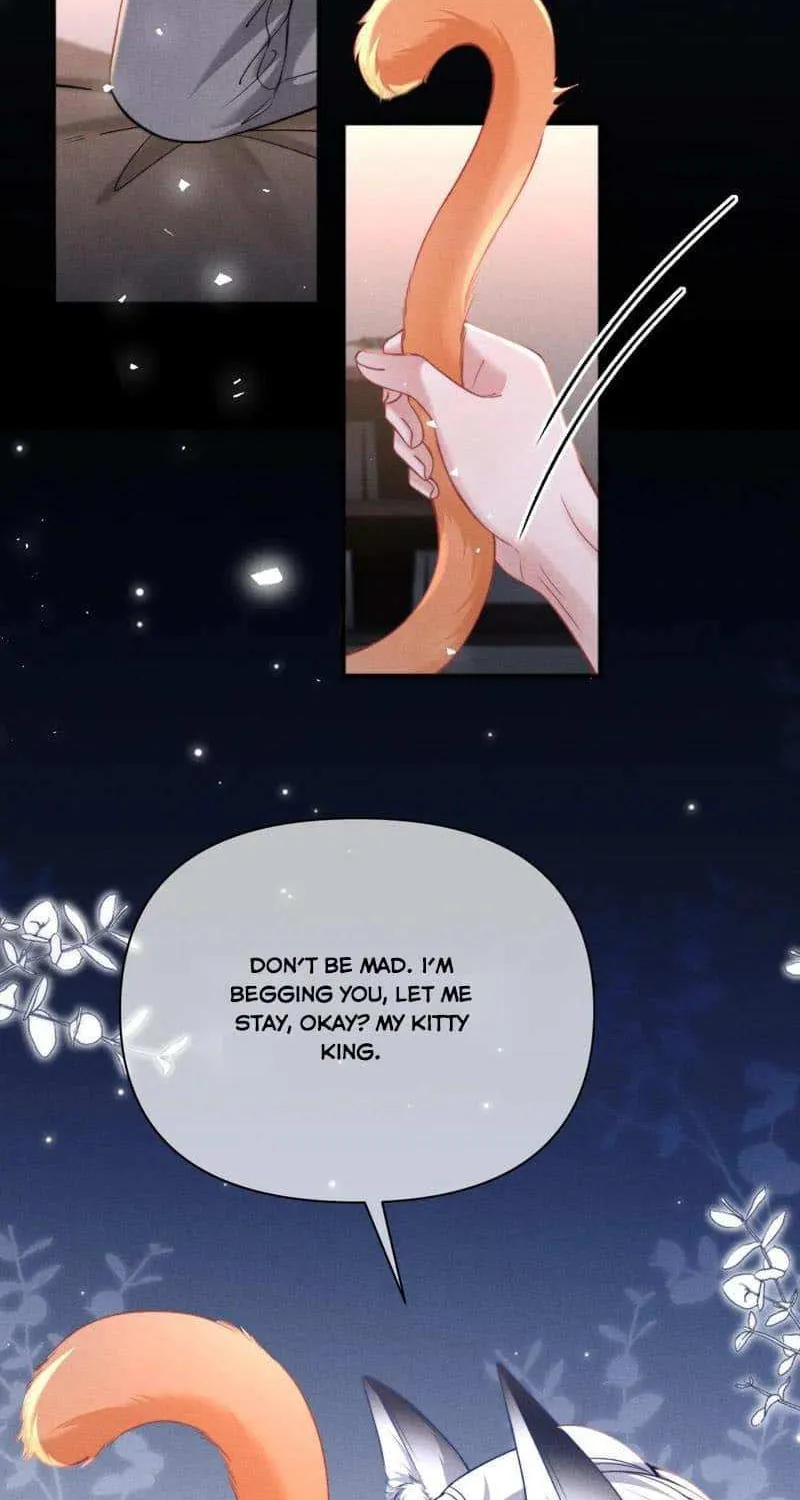 Subordinate Doting Chapter 41 page 34 - 