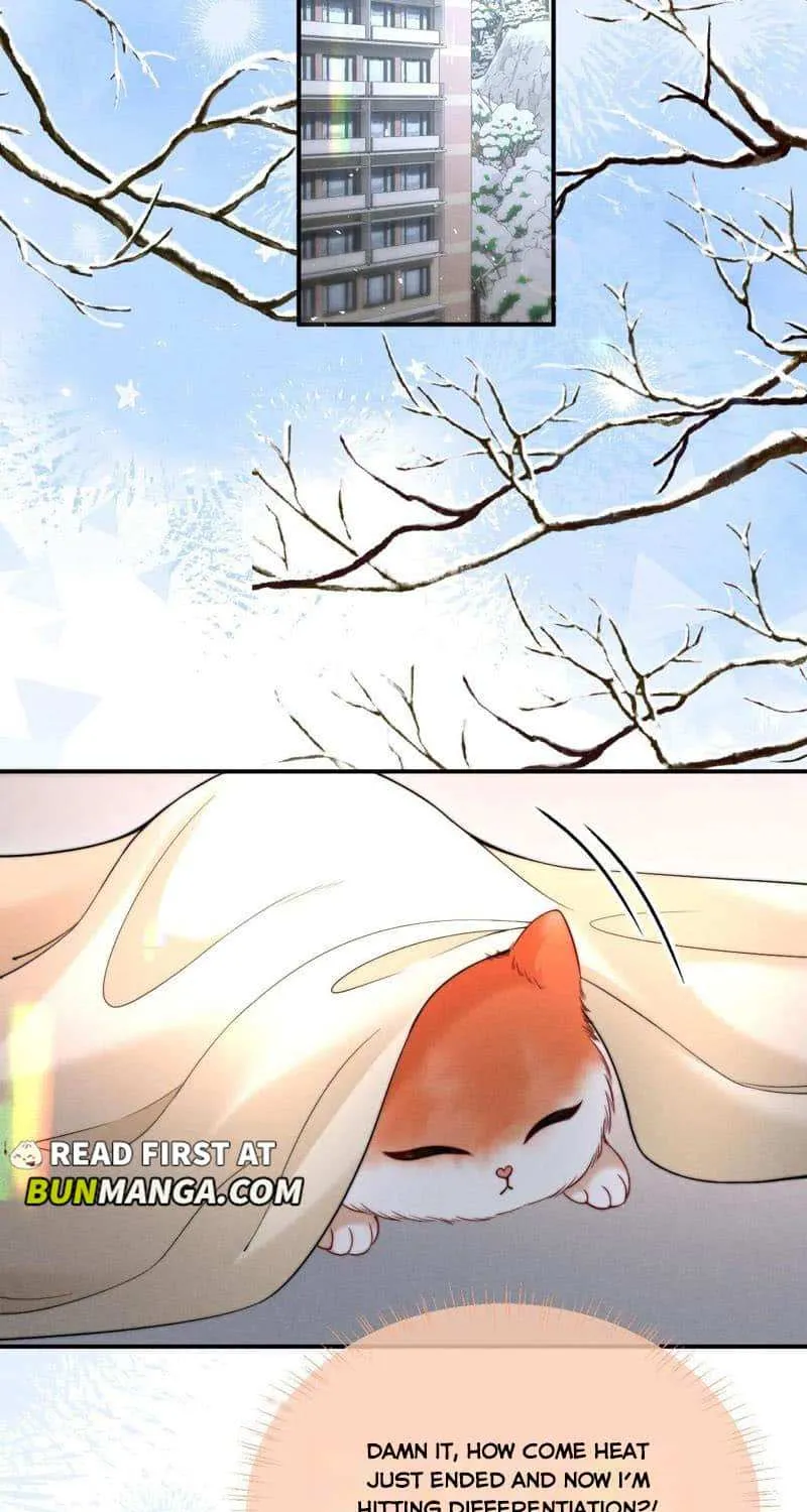 Subordinate Doting Chapter 42 page 24 - 