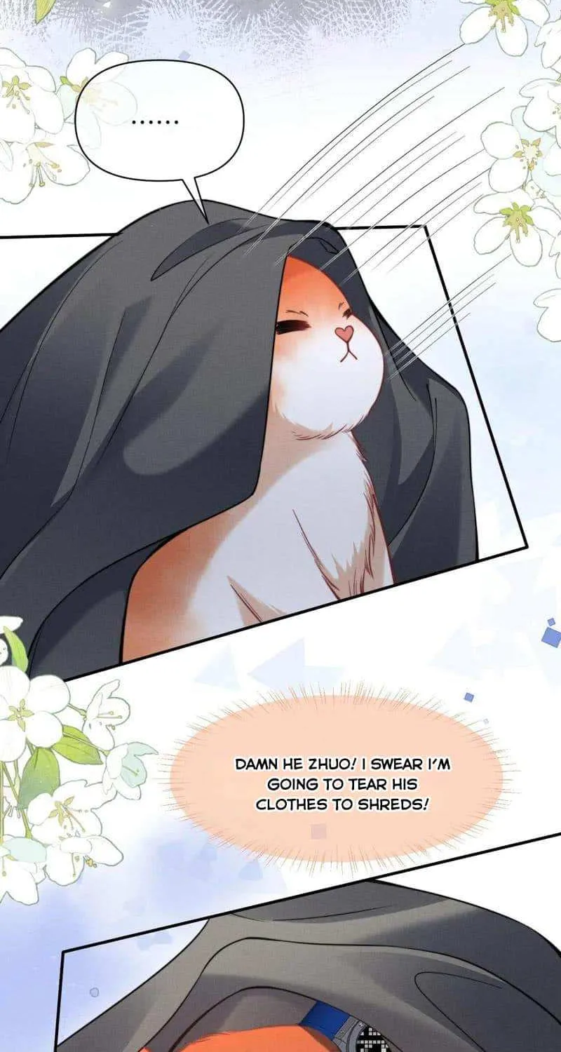 Subordinate Doting Chapter 43 page 20 - 