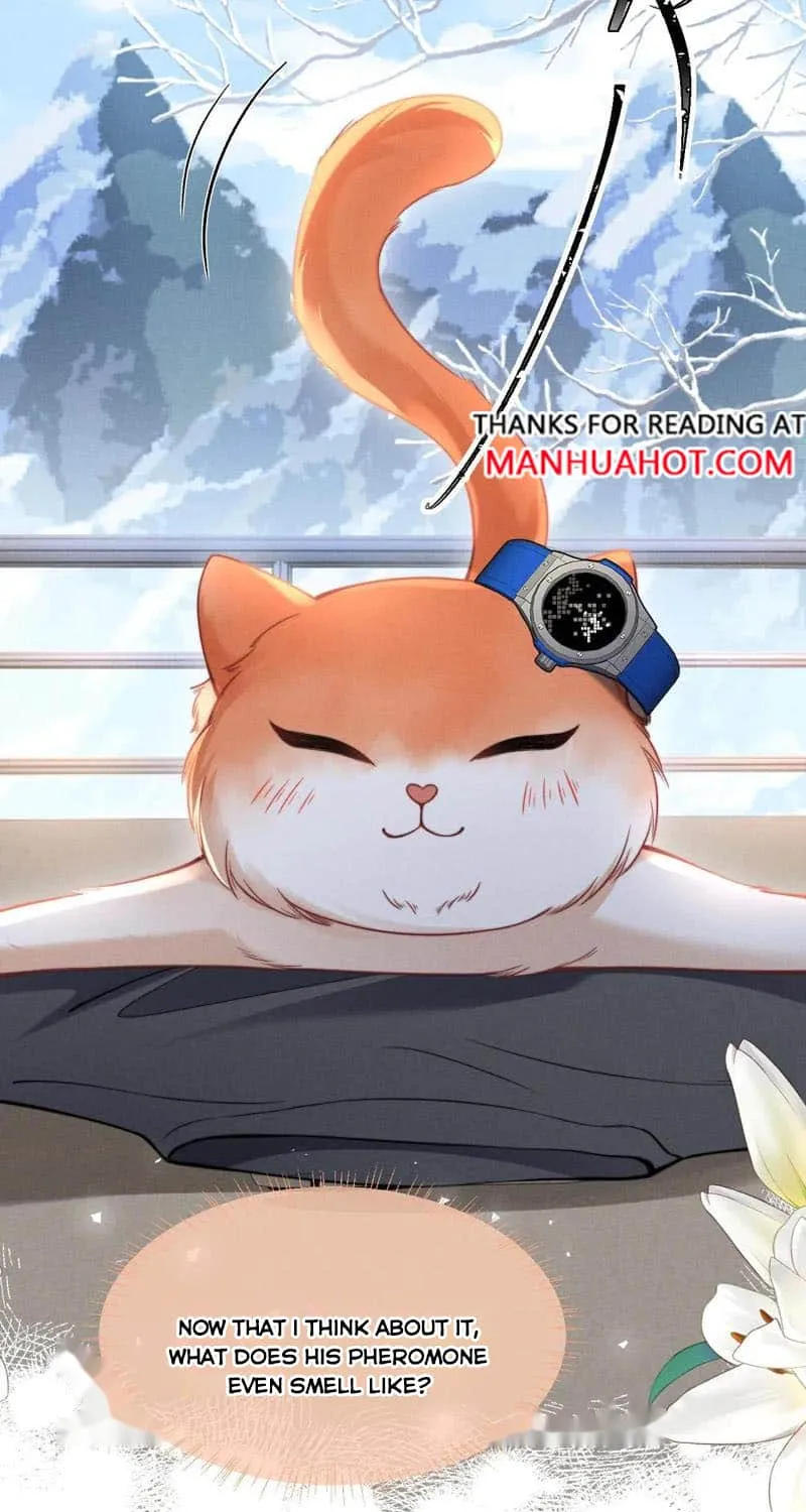 Subordinate Doting Chapter 43 page 25 - 