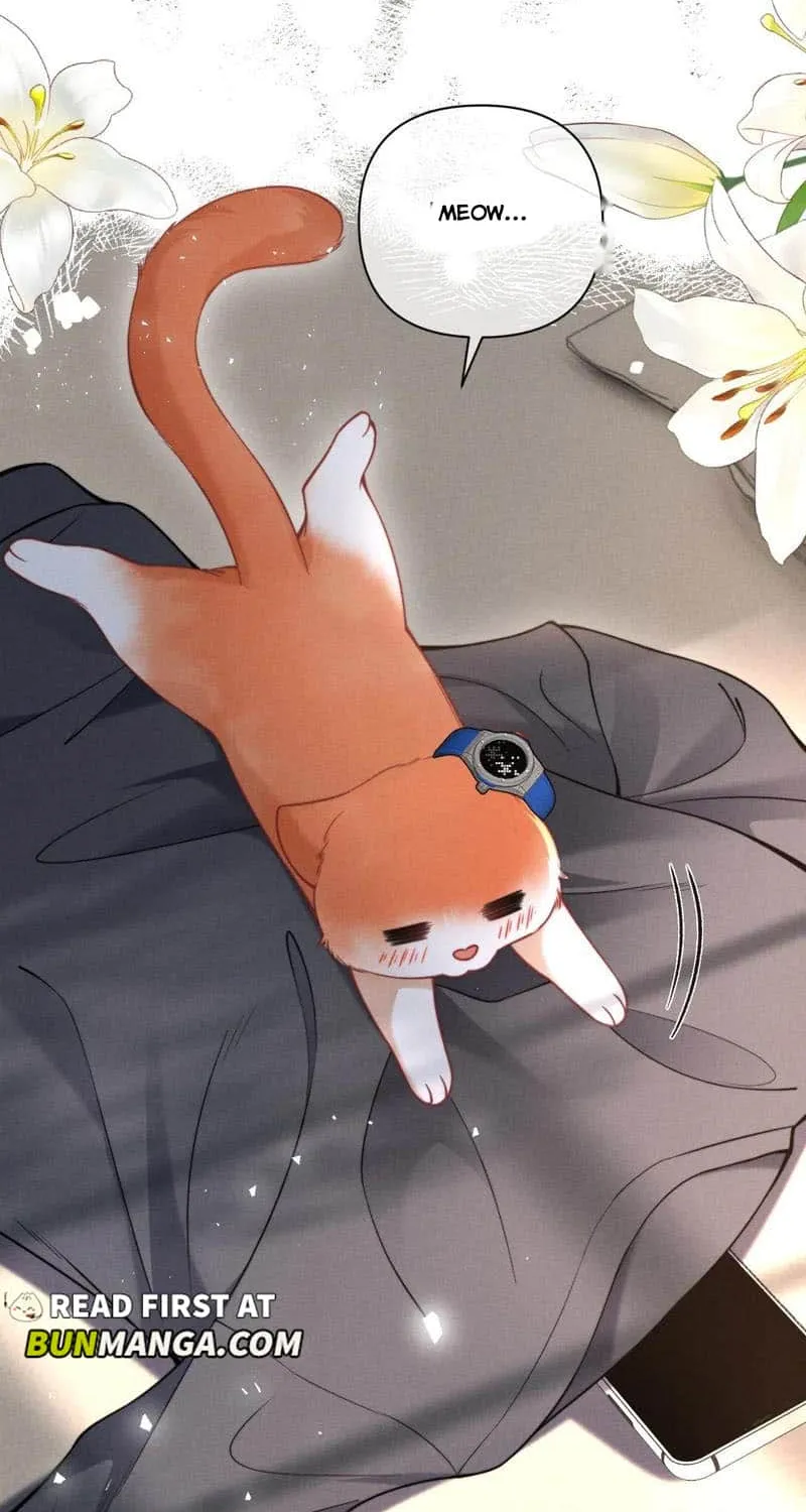 Subordinate Doting Chapter 43 page 26 - 