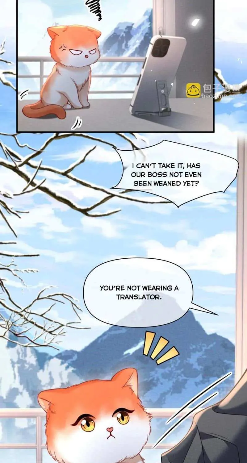 Subordinate Doting Chapter 43 page 4 - 