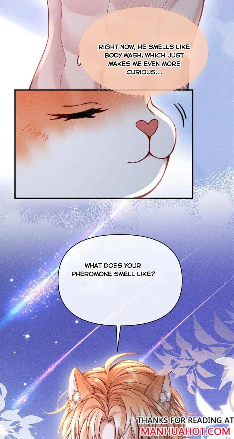 Subordinate Doting Chapter 43 page 35 - 