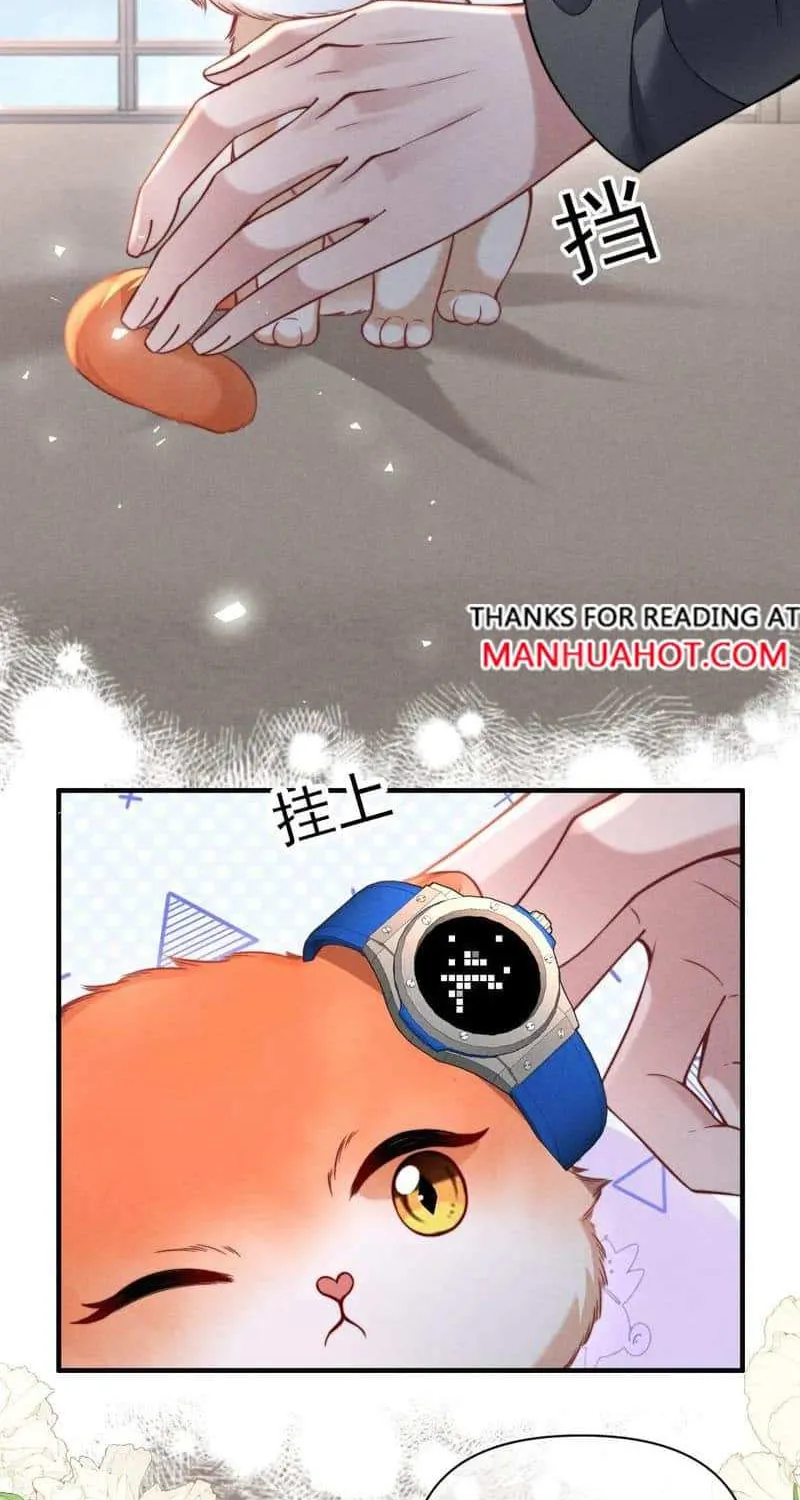 Subordinate Doting Chapter 43 page 5 - 