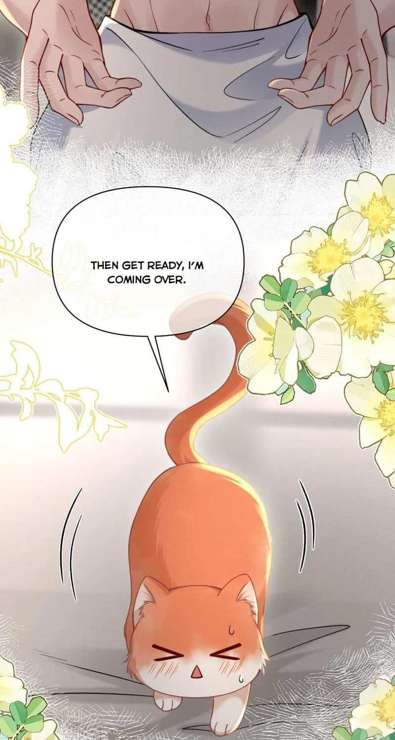 Subordinate Doting Chapter 44 page 20 - 