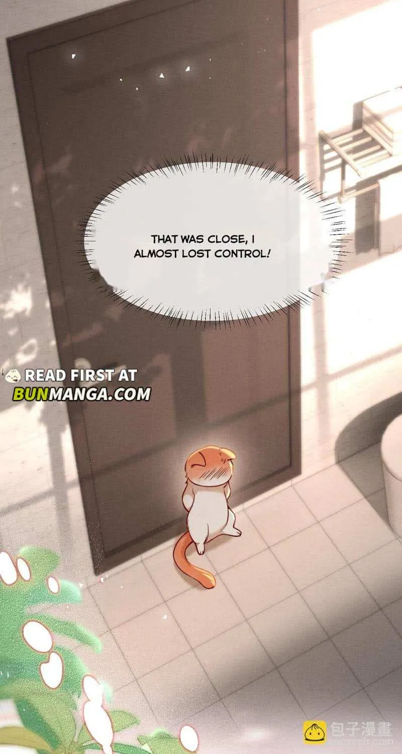 Subordinate Doting Chapter 44 page 34 - 