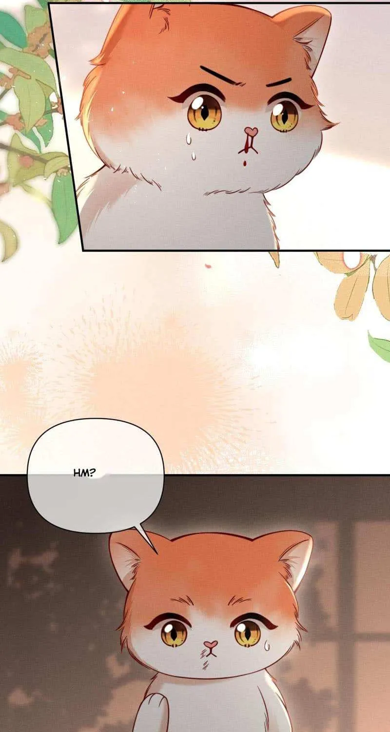 Subordinate Doting Chapter 44 page 35 - 