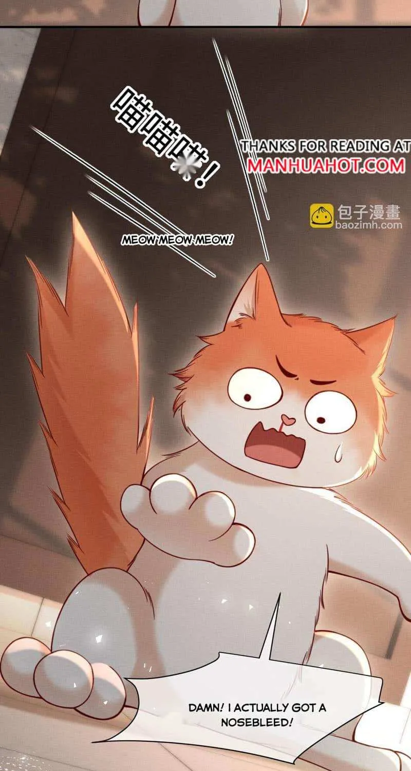 Subordinate Doting Chapter 44 page 36 - 