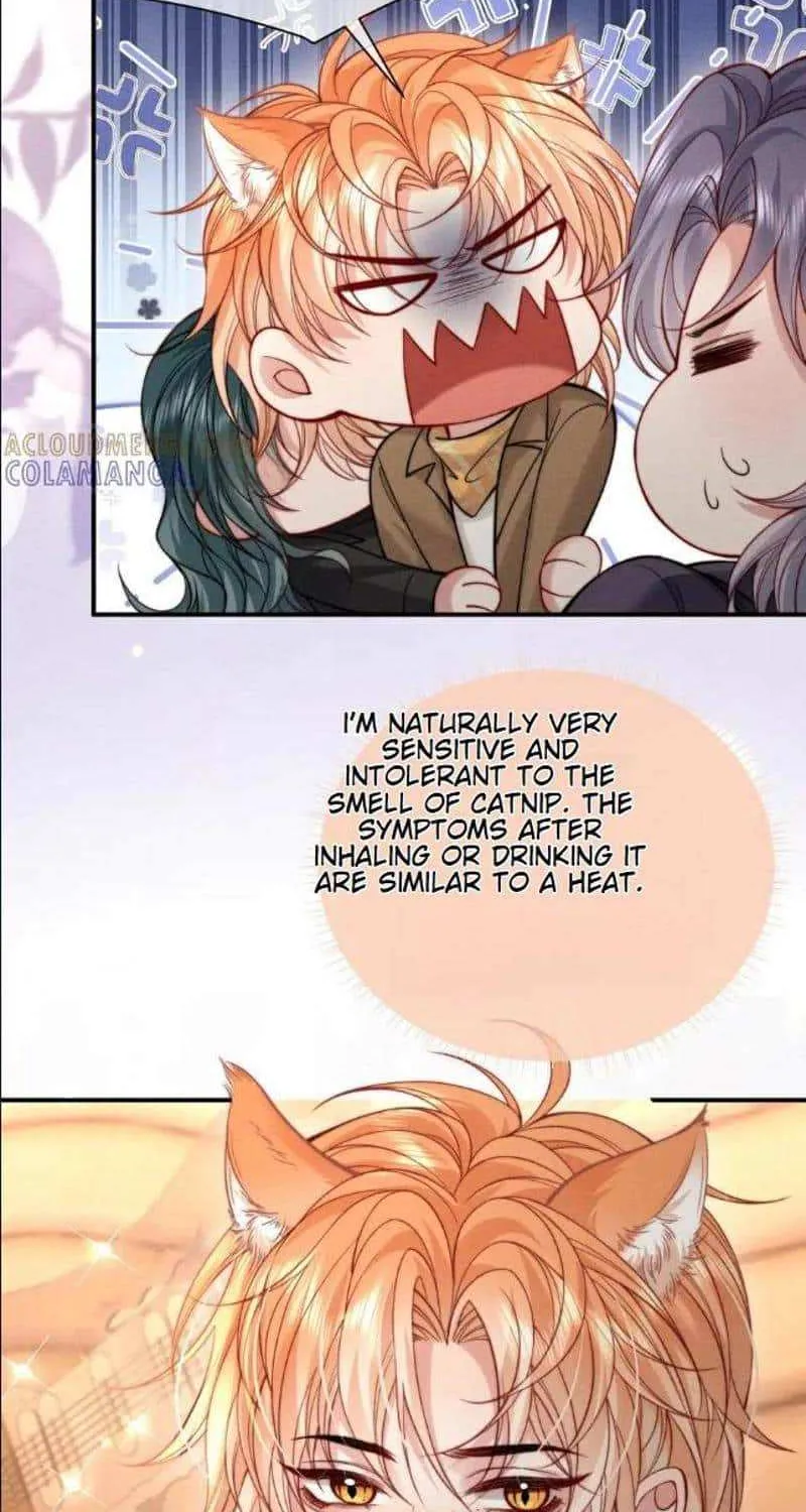 Subordinate Doting Chapter 47 page 17 - 