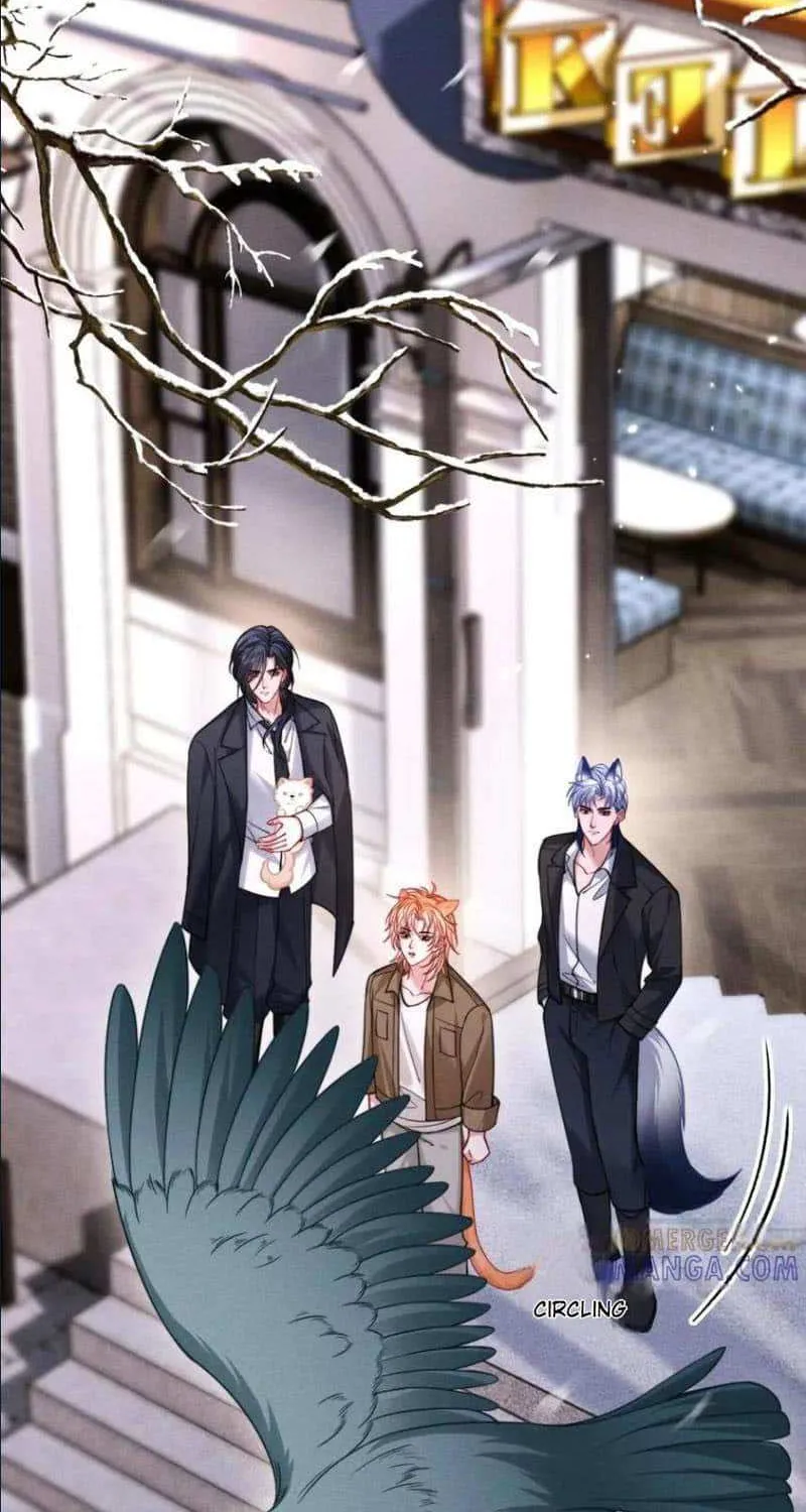 Subordinate Doting Chapter 52 page 16 - 