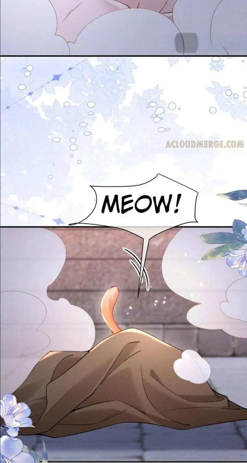 Subordinate Doting Chapter 52 page 20 - 