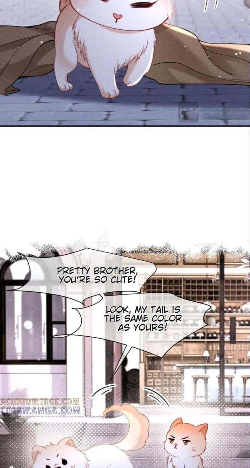 Subordinate Doting Chapter 52 page 27 - 