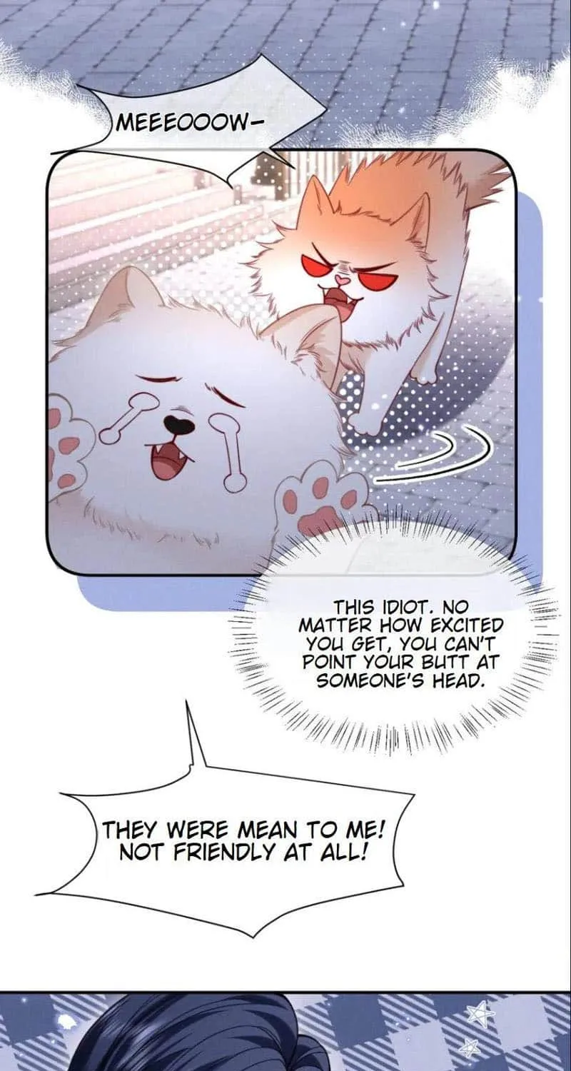 Subordinate Doting Chapter 52 page 29 - 