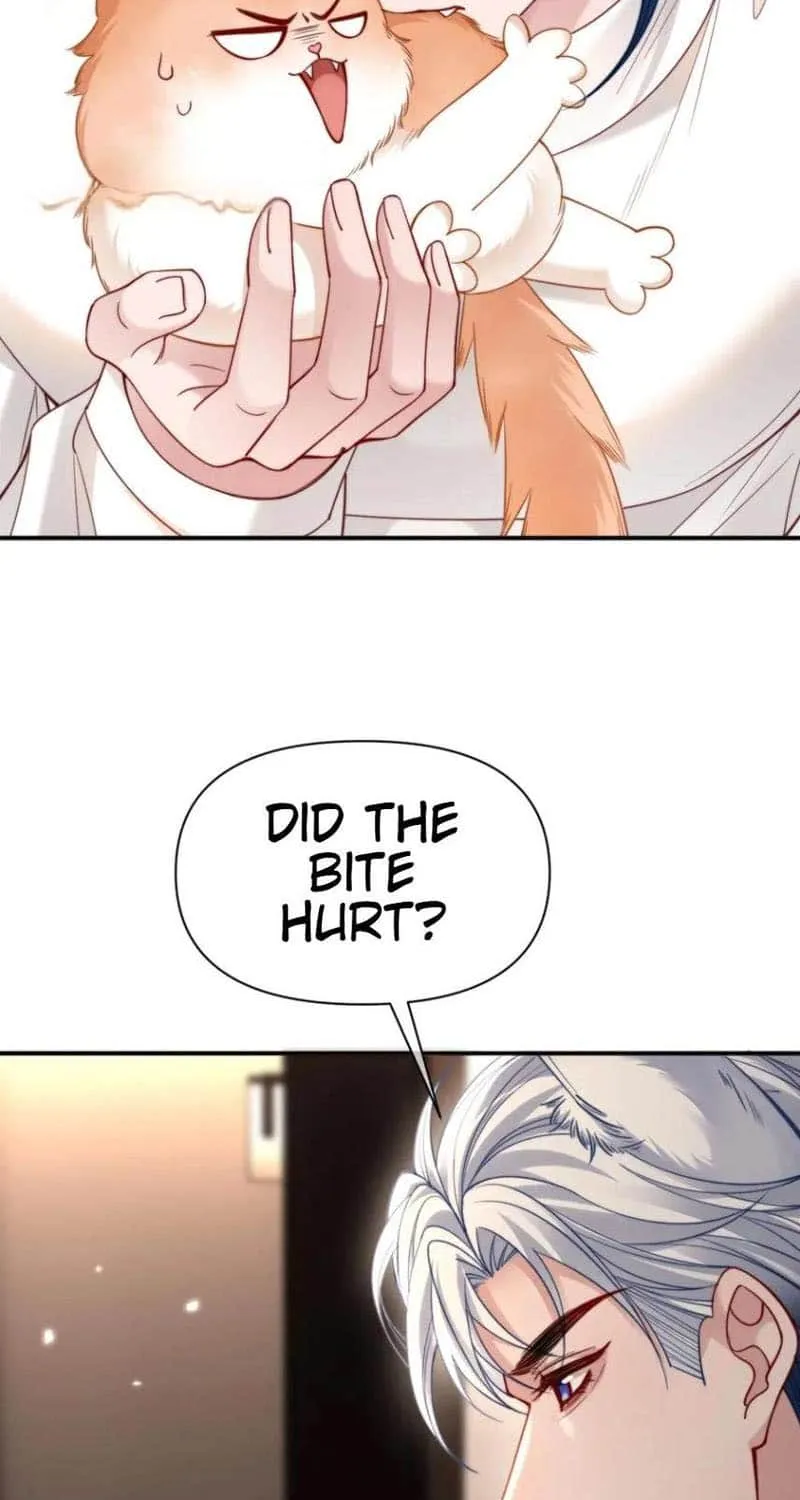 Subordinate Doting Chapter 53 page 24 - 