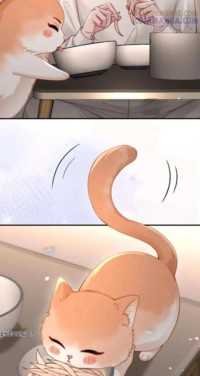 Subordinate Doting Chapter 53 page 33 - 