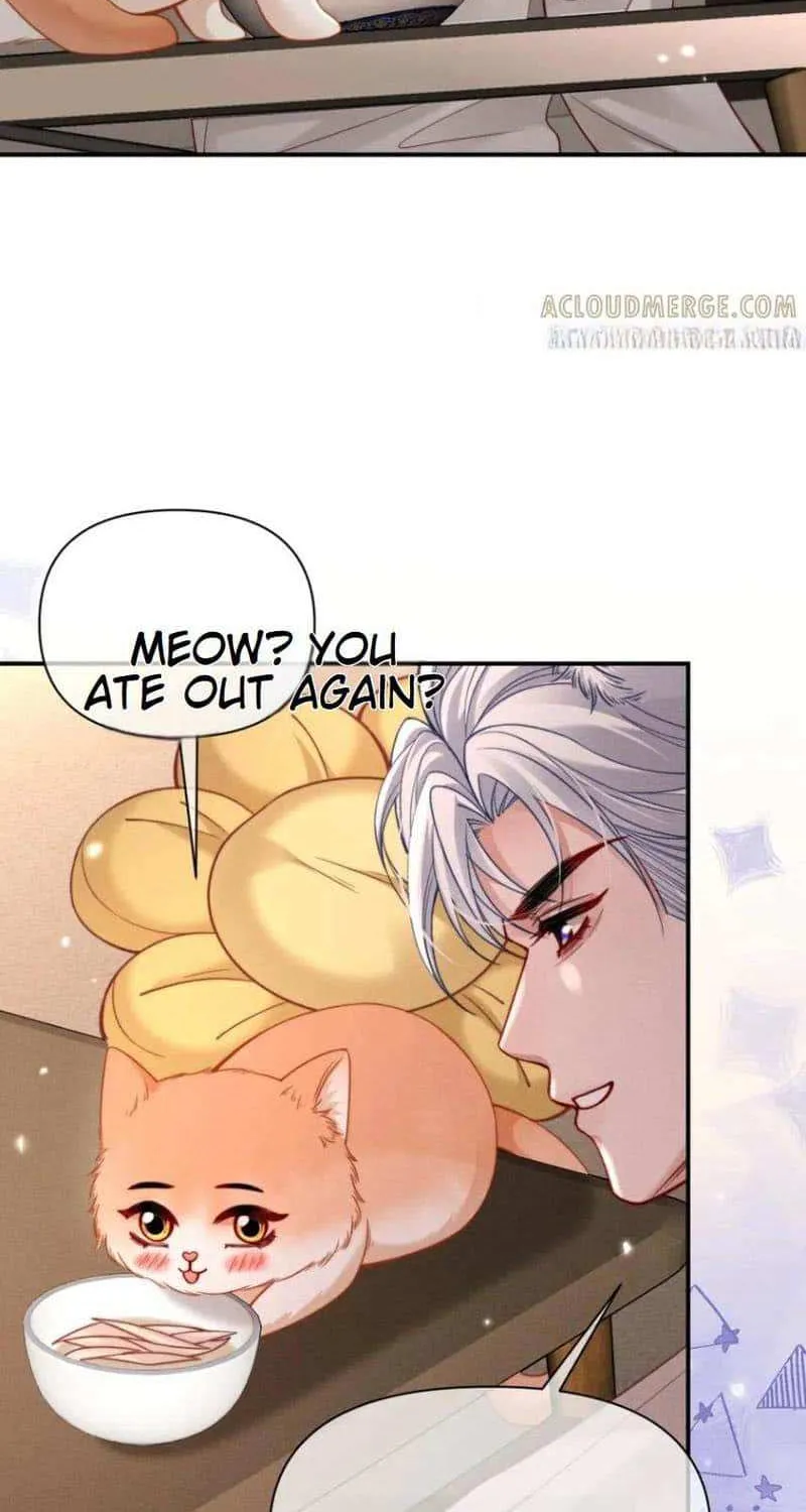 Subordinate Doting Chapter 53 page 35 - 