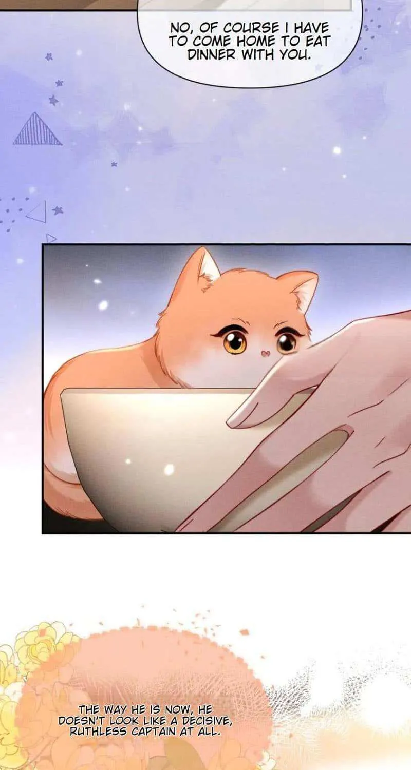 Subordinate Doting Chapter 53 page 36 - 