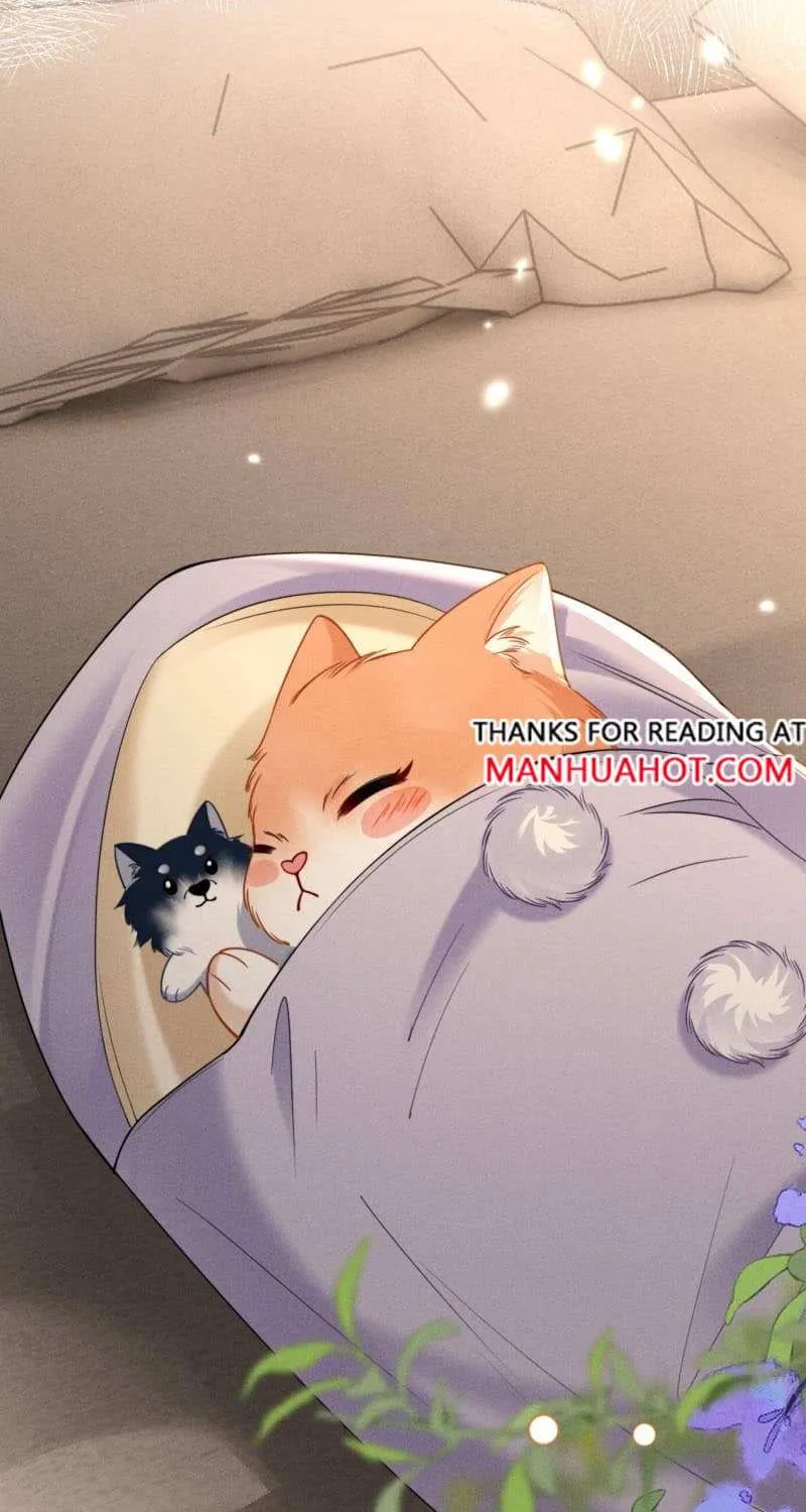 Subordinate Doting Chapter 54 page 15 - 