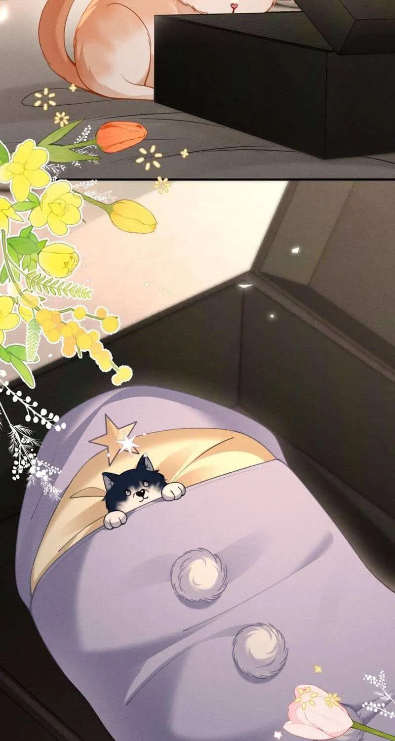 Subordinate Doting Chapter 54 page 3 - 