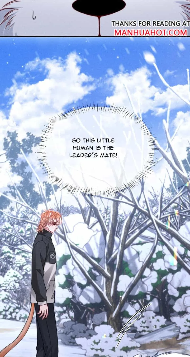 Subordinate Doting Chapter 55 page 18 - 
