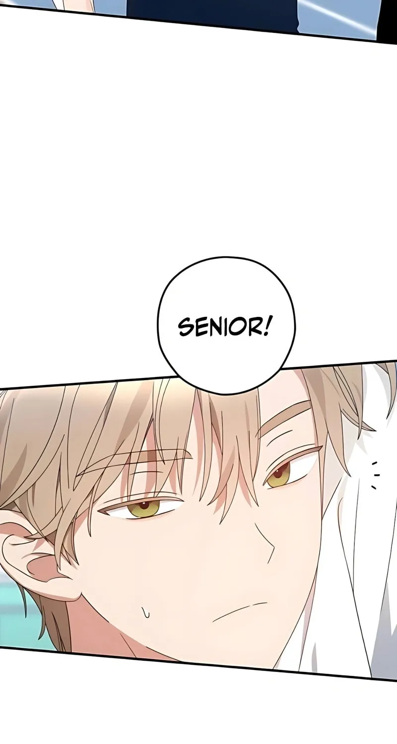 Summer Moon: The Cupid Chapter 4 page 61 - 