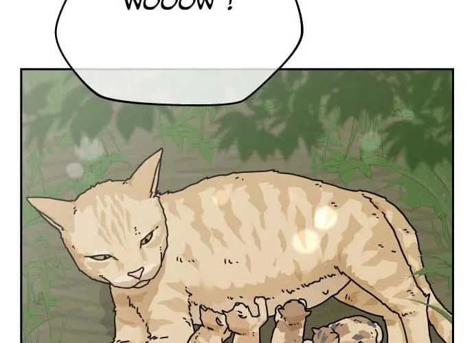 Sunny Surf Chapter 6 page 56 - 