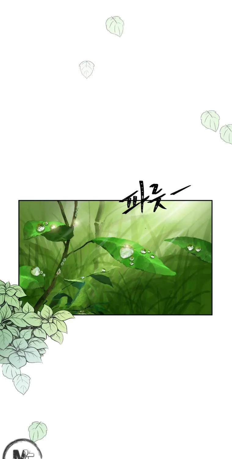 Sunyu of the Shadowless Chapter 4 page 37 - 