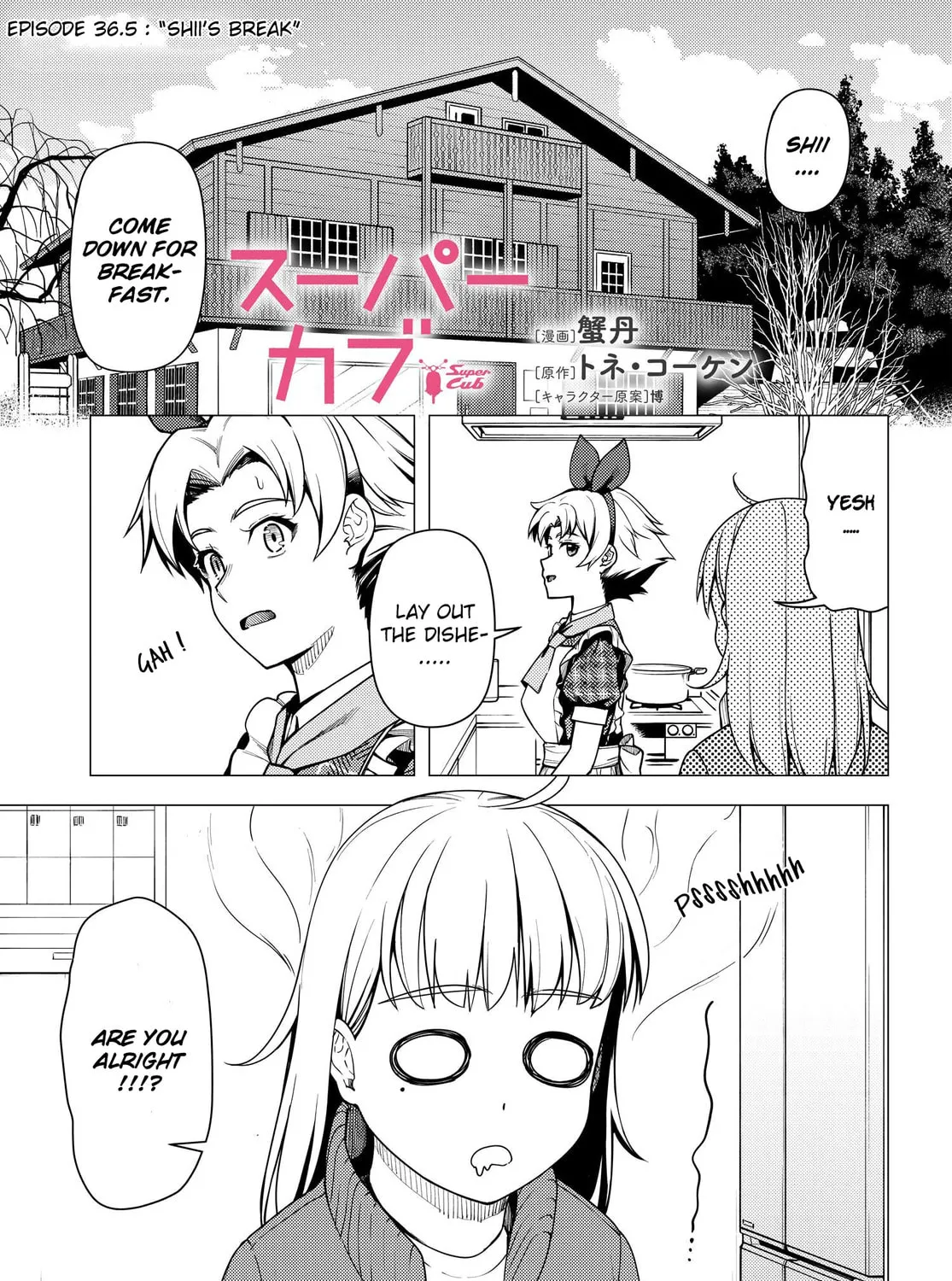 Super Cub Chapter 36.5 page 1 - 