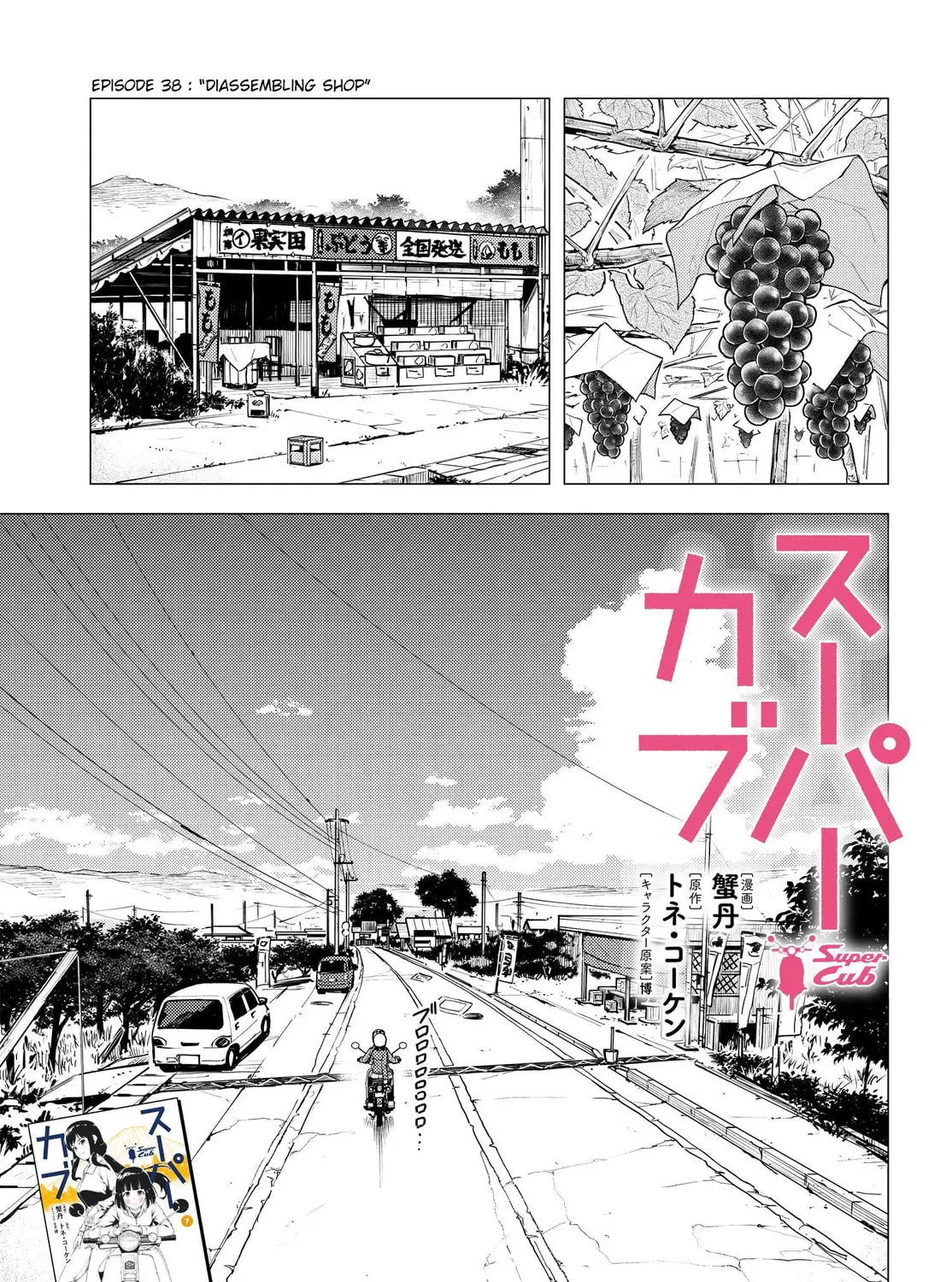 Super Cub Chapter 38 page 1 - 