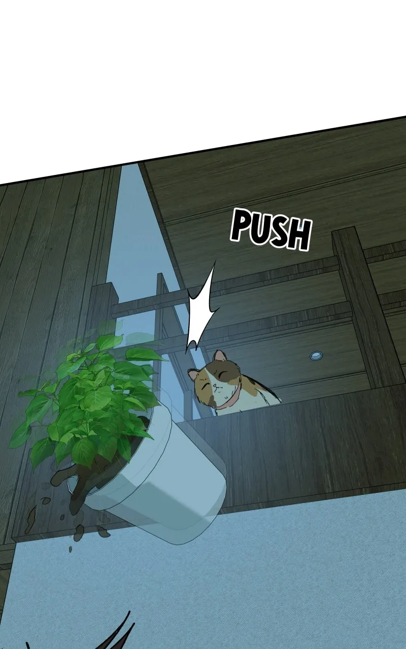 Superfish Chapter 20 page 63 - 