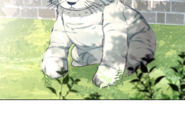 Survival Methods of the Cannon Fodder Daughter Chapter 2 page 47 - 