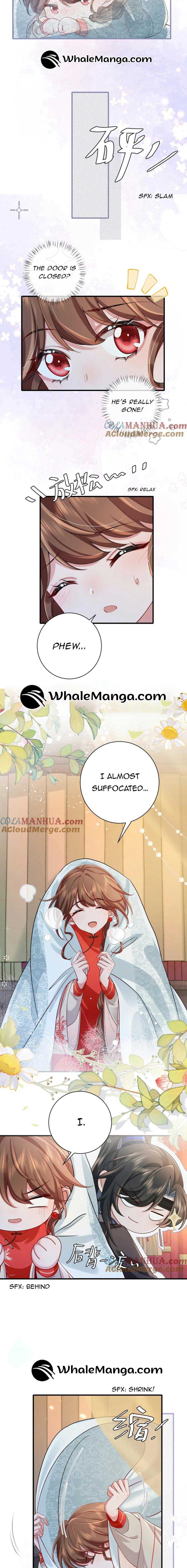 Survival Methods of the Cannon Fodder Daughter Chapter 209 page 6 - 