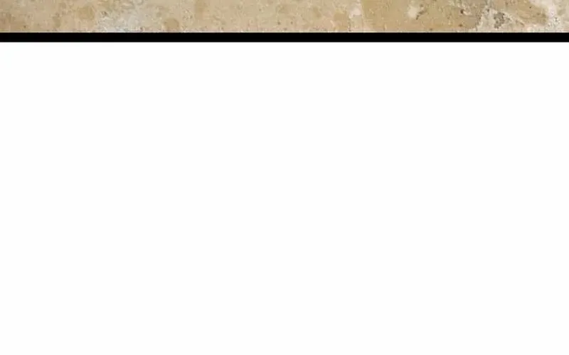 Surviving as a Genius on Borrowed Time Chapter 24.2 page 17 - 