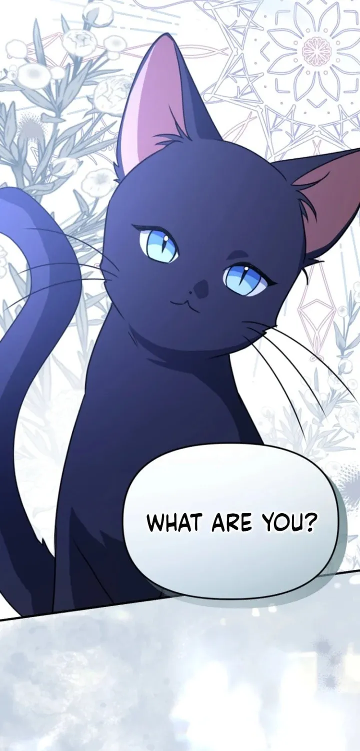Surviving in a School of Ghost Stories Chapter 14 page 81 - 