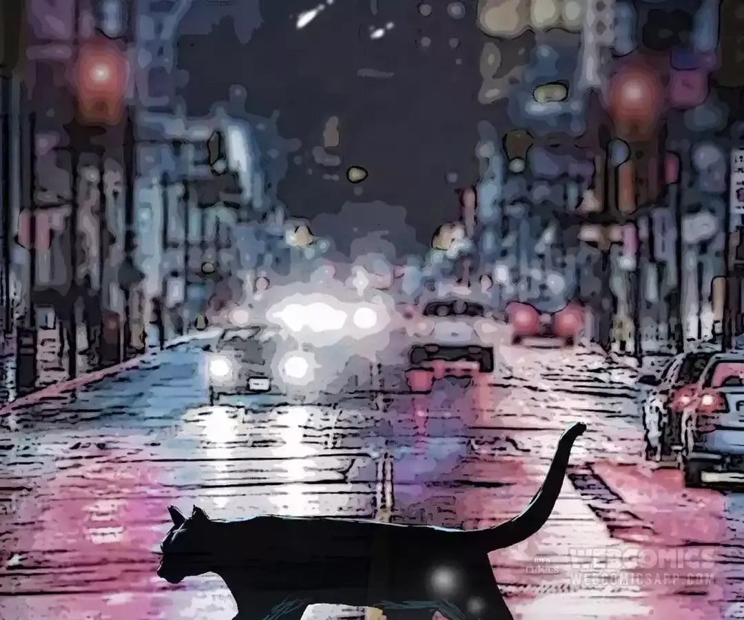 Suspense Cat: Collected Stories of Midnight Chapter 0 page 2 - 